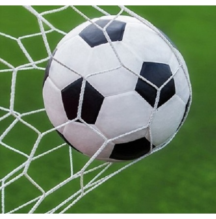 Fotbollsn�t 7,5 m x 2,5 m, 11-manna Vit 3 mm Spanien